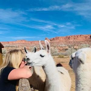 Meet your Posher, Beth